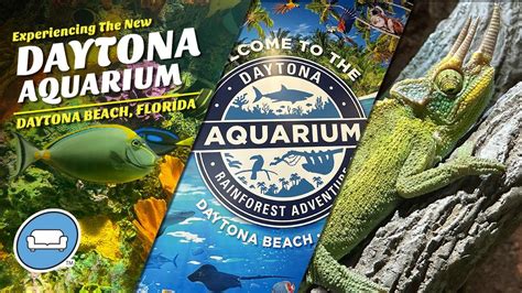 ocean mueseum daytona ticket prices|daytona aquarium admission hours.